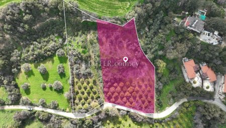 Share Residential field located Skoulli Paphos - 3