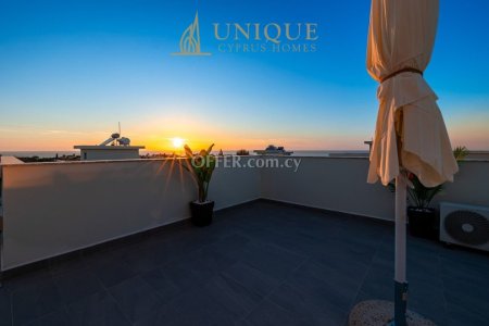 FOR RENT Brand New Villa in St. George of Pegeia - 3