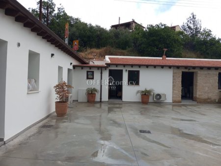 FULLY RENOVATED TRADITIONAL HOUSE IN FASOULA VILLAGE LIMASSOL - 10