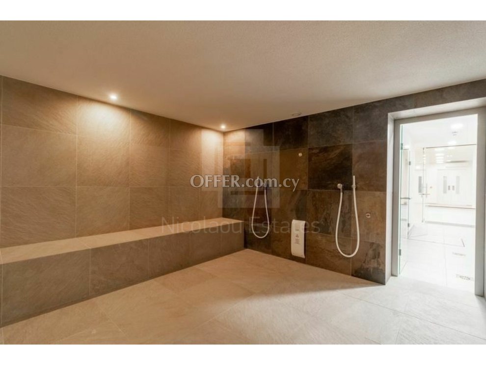 Luxury two bedroom apartment in Potamos Germasogeia tourist area 250 meters from the beach - 3