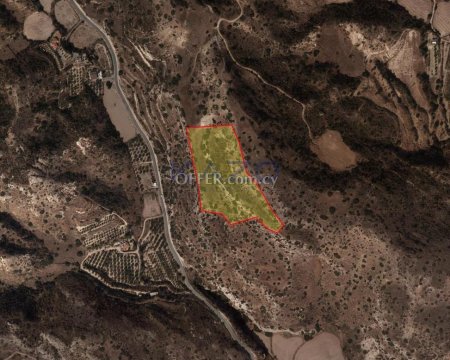 Large Touristic Field for Sale in Scenic Pissouri