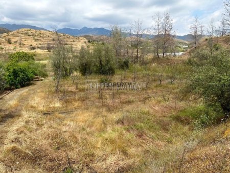 Agricultural Land in Eptagonia