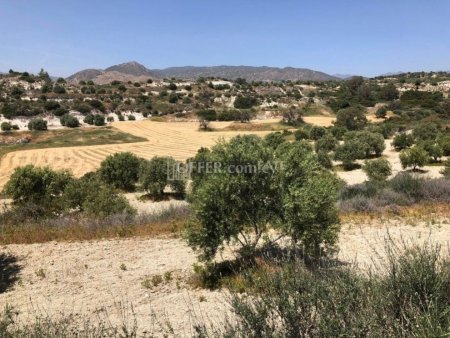 Agricultural Land for Sale in Monagrouli