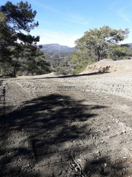 Agricultural Land for Sale in Agios Mamas