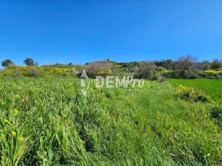 Agricultural Land For Sale in Stroumbi, Paphos - DP4856