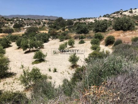 Agricultural Land for Sale in Monagrouli - 7