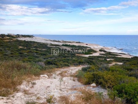Beachfront Land in Governor's Beach - 8