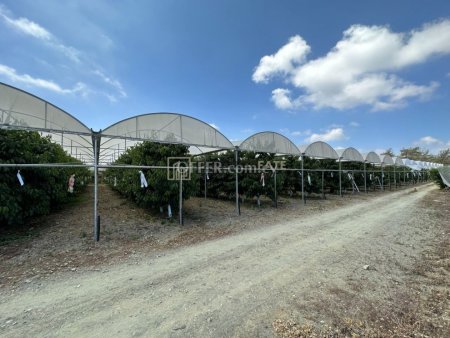 Residential Land in Kellaki - 8