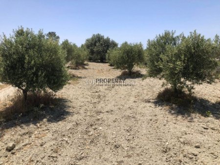 Agricultural Land for Sale in Monagrouli - 4