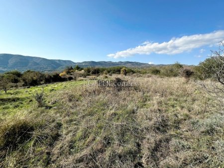 Residential Land in Laneia - 3