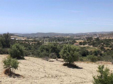 Agricultural Land for Sale in Monagrouli - 3