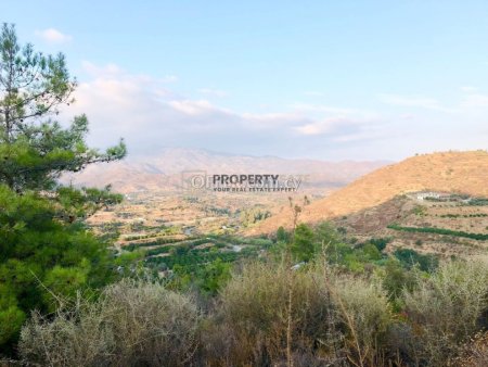 Agricultural Land in Eptagonia - 3