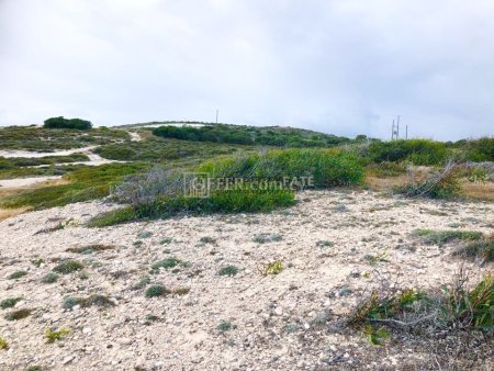 Beachfront Land in Governor's Beach - 4
