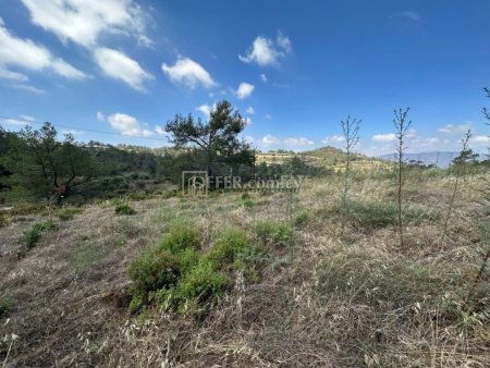 Agricultural Land in Kellaki - 2