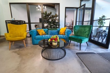 Modern 225 m2 Office Space for Rent Agia Triada - 4