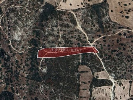 Field for sale in Avdimou, Limassol