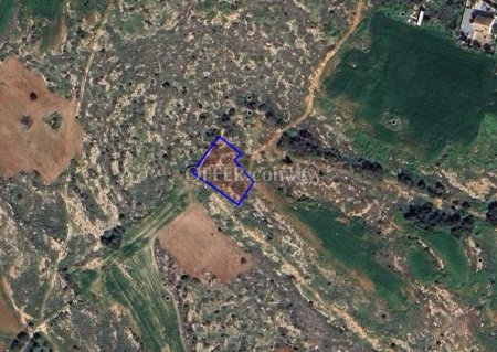Field in Paralimni, Famagusta