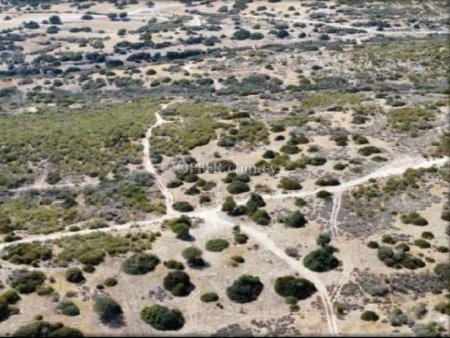 Field for sale in Avdimou, Limassol - 2