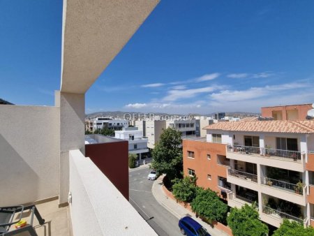 Apartment (Penthouse) in Linopetra, Limassol for Sale - 11