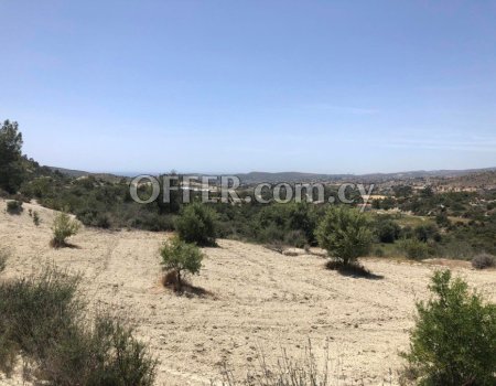 Agrictultural Land for Sale in Monagrouli - 4