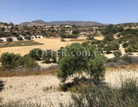Agrictultural Land for Sale in Monagrouli