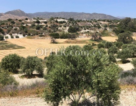 Agrictultural Land for Sale in Monagrouli - 3