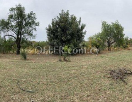 Residential Land for Sale in Ora - 4