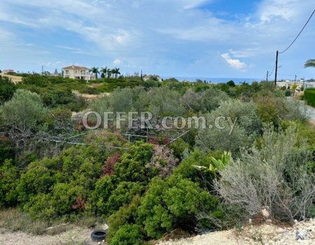 Agricultural Land for Sale in Pegeia
