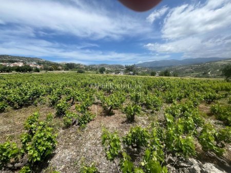 Development Land for sale in Omodos, Limassol