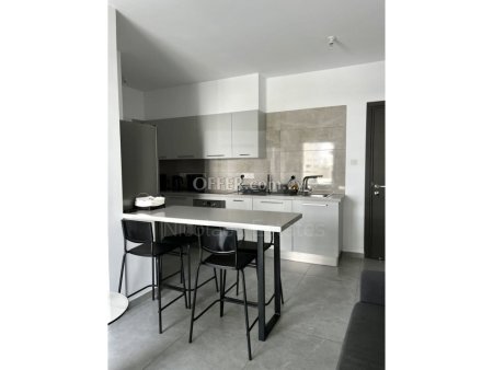 Modern one bedroom apartment for rent in Aglantzia near University