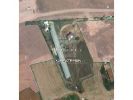 Large Agricultural Land for Sale in Kokkinotrimithia Nicosia