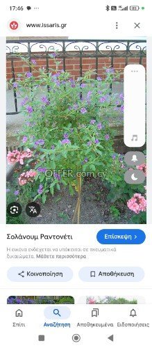Change your trees or your flowers to another kind !!! - 7