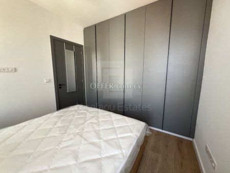 Brand new Top Floor one bedroom apartment for rent in Strovolos - 2