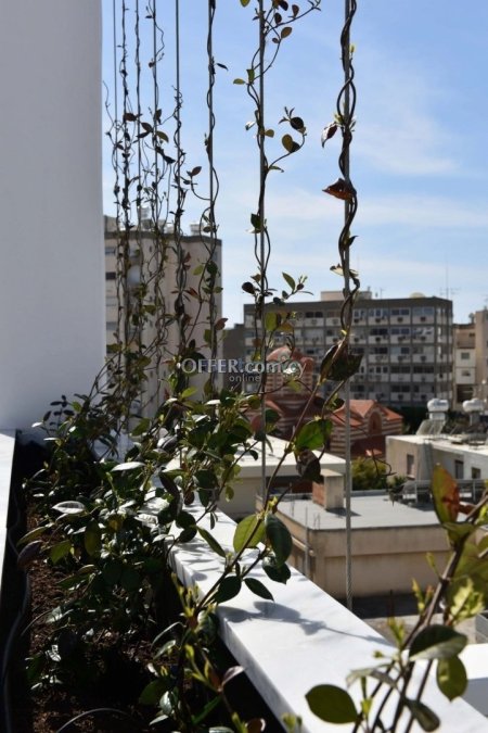 2 Bedroom Apartment For Sale Limassol