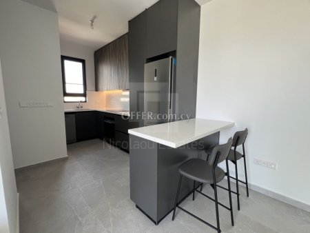 Brand new Top Floor one bedroom apartment for rent in Strovolos - 10