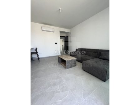 Brand new Top Floor one bedroom apartment for rent in Strovolos - 8