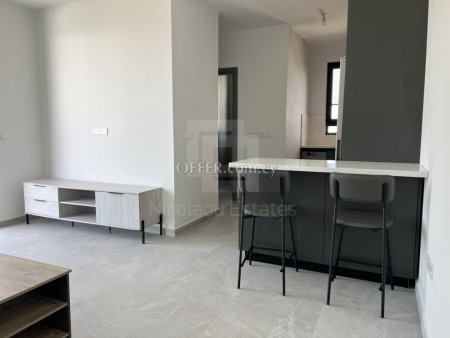 Brand new Top Floor one bedroom apartment for rent in Strovolos - 7