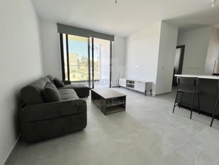 Brand new Top Floor one bedroom apartment for rent in Strovolos - 6