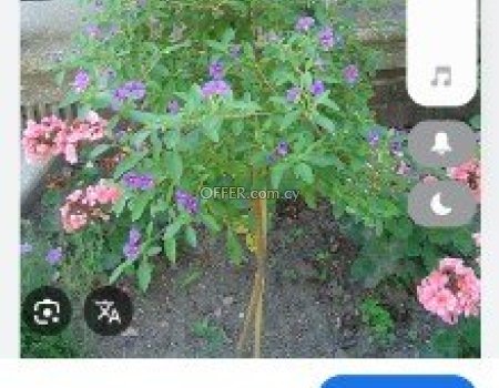 Change your trees or your flowers to another kind !!! - 7