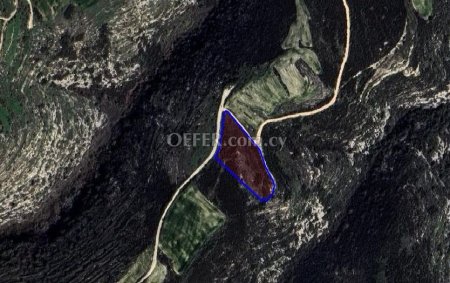 Field for sale in Pano Arodes, Paphos