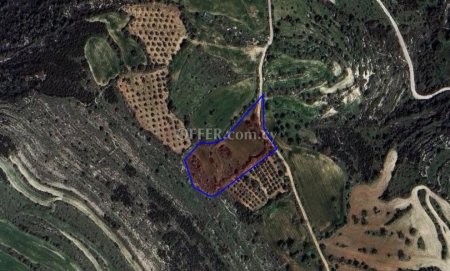 Field for sale in Kritou Tera, Paphos