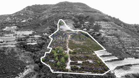 Large Field for Sale in Picturesque Agios Mamas