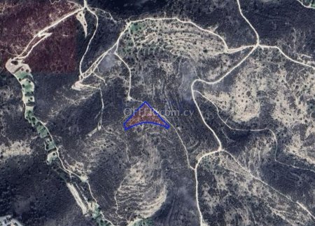 Large Field for Sale in Peaceful Asgata Village