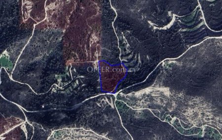 Large Field for Sale in Peaceful Asgata Village