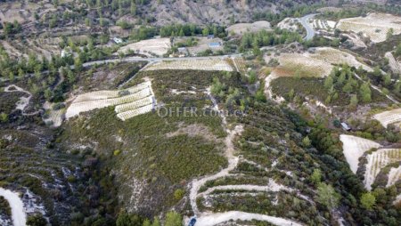 Large Field for Sale in Picturesque Agios Mamas - 10