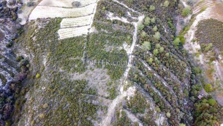 Large Field for Sale in Picturesque Agios Mamas - 6