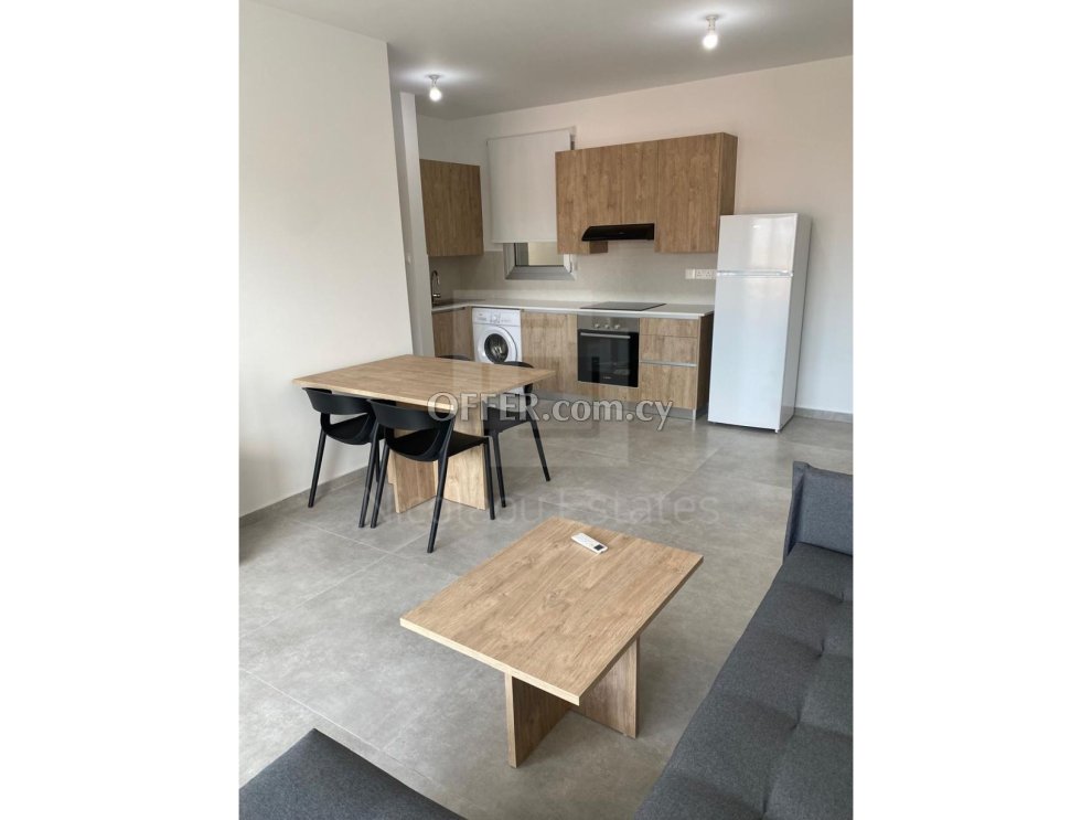 One Bedroom Fully Furnished Apartment for Rent in Engomi near the European University - 7