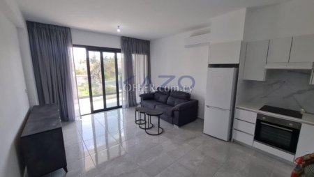 Modern Furnished Apartment in Quiet Parekklisia Area