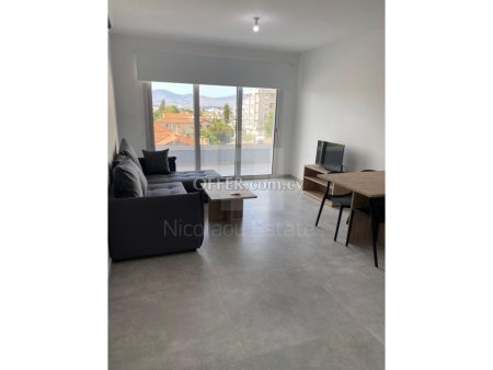 One Bedroom Fully Furnished Apartment for Rent in Engomi near the European University