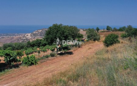 Residential Land  For Sale in Kathikas, Paphos - DP4922